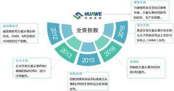 華威醫(yī)藥 國(guó)內(nèi)CRO行業(yè)中的互聯(lián)網(wǎng)銷(xiāo)售先鋒